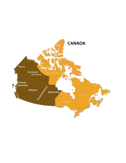Find dental recruiting services in the Canada nationwide with Hire Smiles